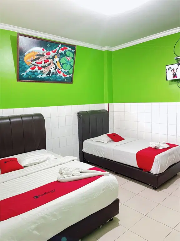 room image